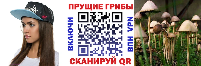 Галлюциногенные грибы прущие грибы  магазин    Билибино 